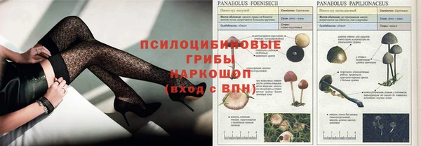 прущая мука Переславль-Залесский