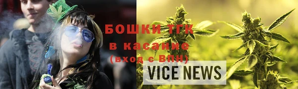 винт Пересвет