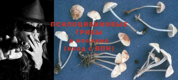 прущая мука Переславль-Залесский