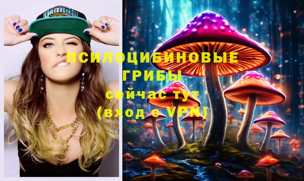 мет Осинники