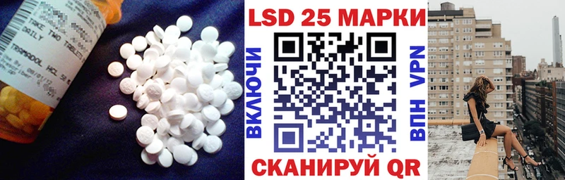 hydra tor darknet официальный сайт Лсд 25 экстази ecstasy Новосибирск