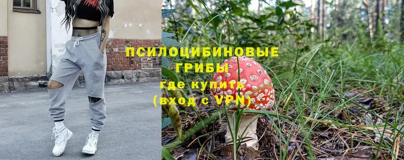 Псилоцибиновые грибы MAGIC MUSHROOMS  blacksprut вход  Новосибирск 