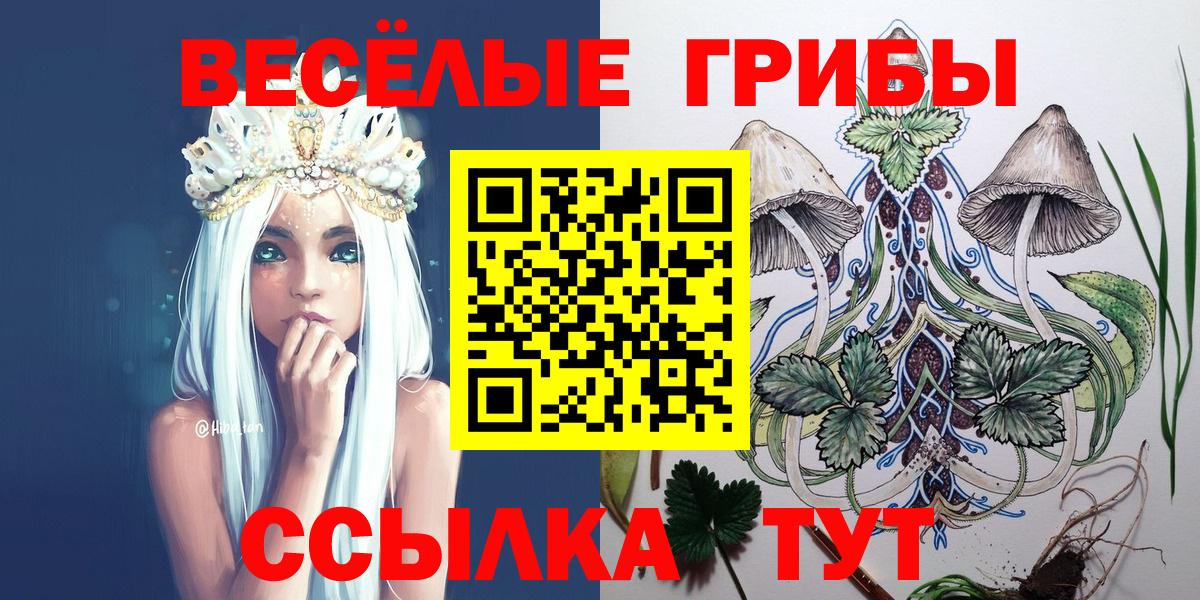 Галлюциногенные грибы Psilocybe  Вход с VPN  Новосибирск 