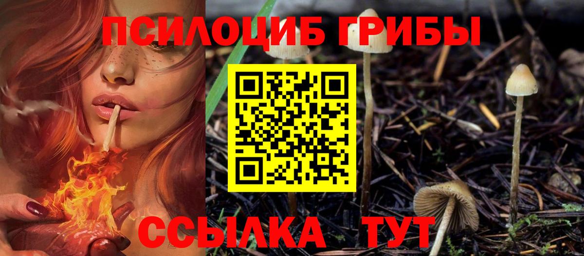 Галлюциногенные грибы ЛСД  наркотики  Новосибирск 